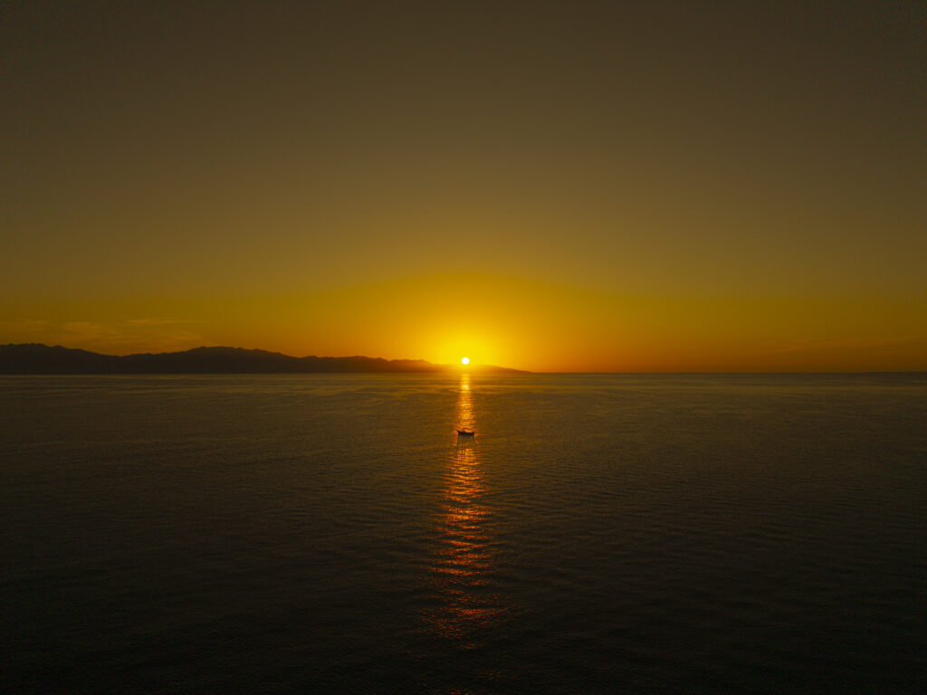 LANDSCAPE — Kaito Miyazawa